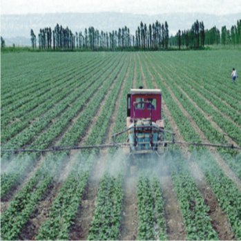 綜合應用系統(tǒng)