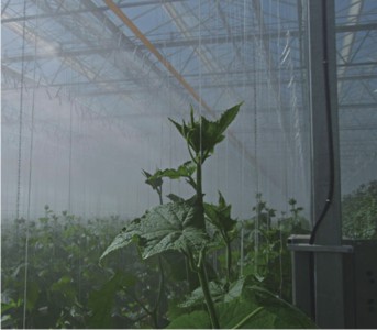 蔬菜大棚加濕